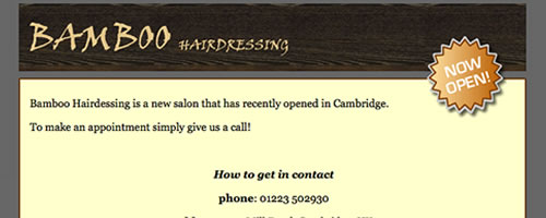 Bamboo Hairdressing Website